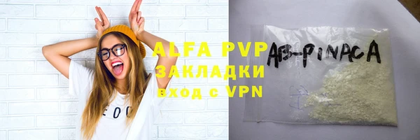 прущие грибы Тутаев