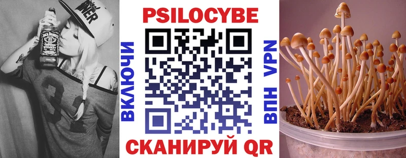 Псилоцибиновые грибы Cubensis  Купить где  Ядрин 